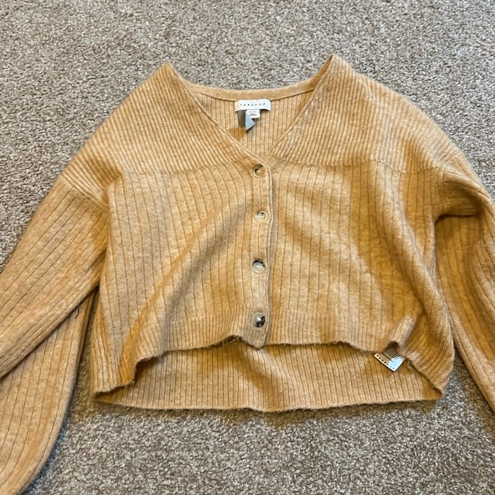 Topshop cropped sweater